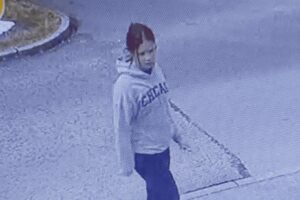 crop-35179588.jpg