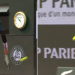 LB-OP-tennisball.jpg