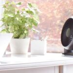 amazon-fan-discover.jpg