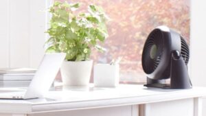 amazon-fan-discover.jpg